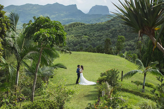 Affordable Destination Wedding Locations You Can Drive To